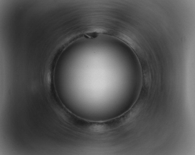 X0000089830350200706281216