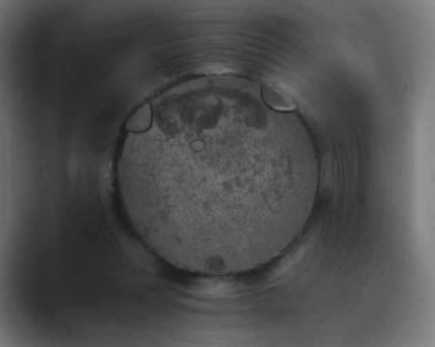 X0000089830351200706281216
