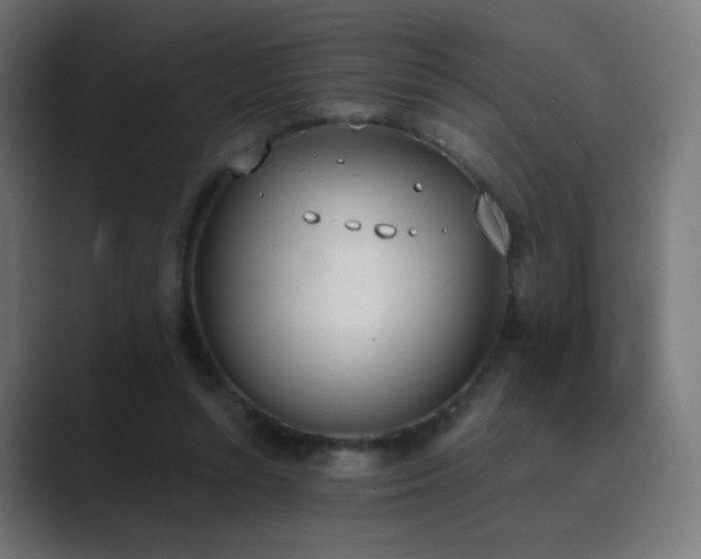 X0000089830352200706281216