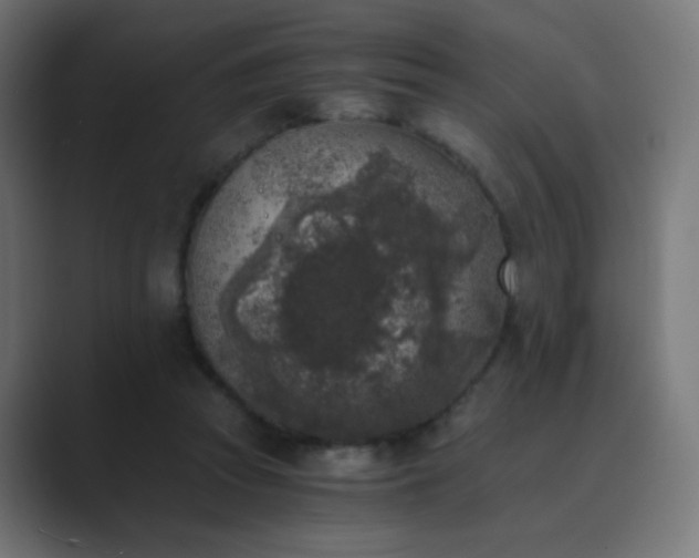 X0000089830353200706281216