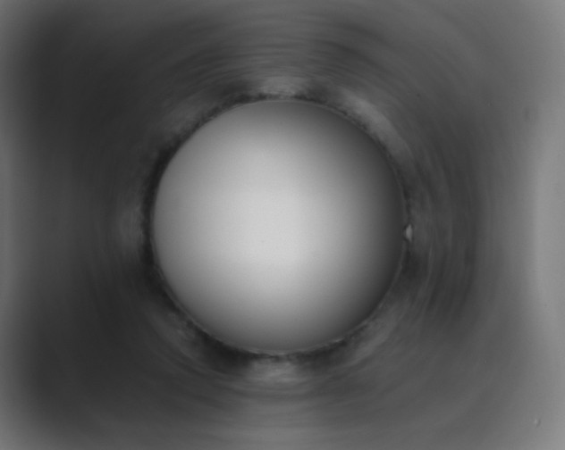 X0000089830354200706281216