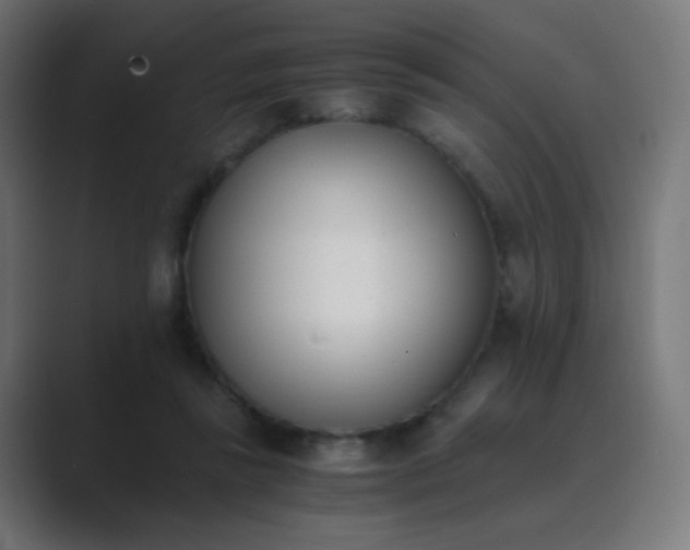 X0000089830355200706281216