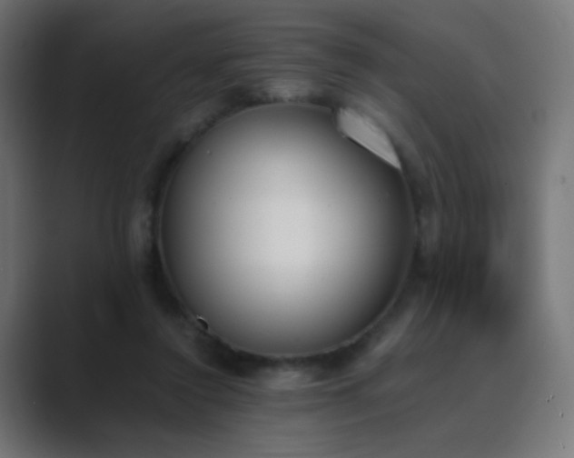 X0000089830356200706281216