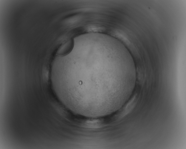 X0000089830357200706281216