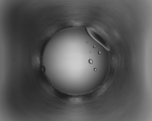 X0000089830358200706281216
