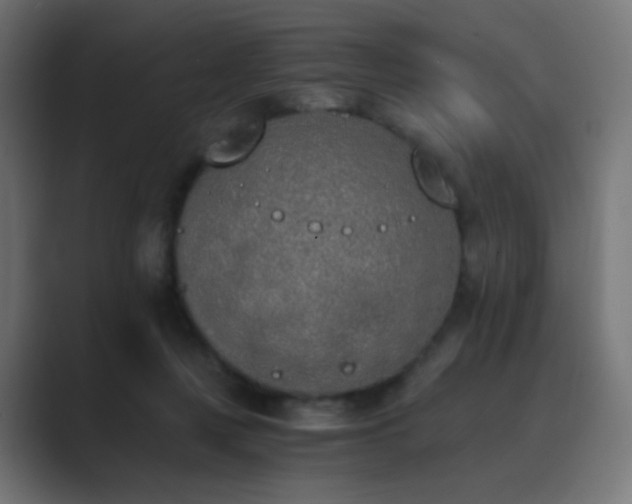 X0000089830359200706281216
