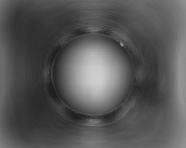 X0000089830360200706281216