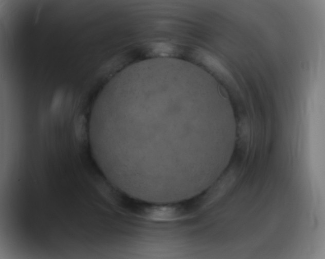 X0000089830361200706281216