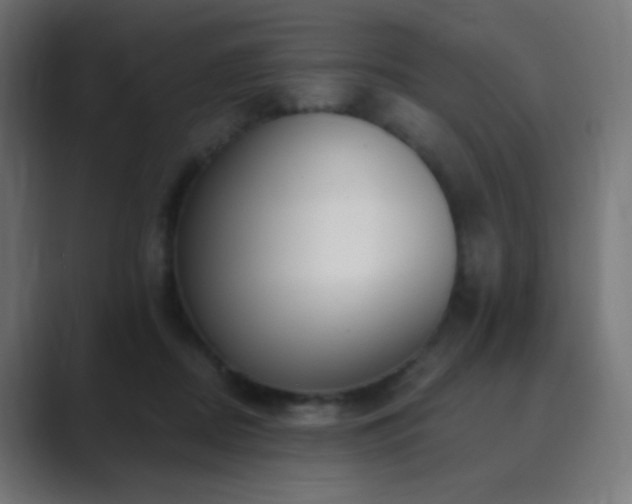 X0000089830362200706281216