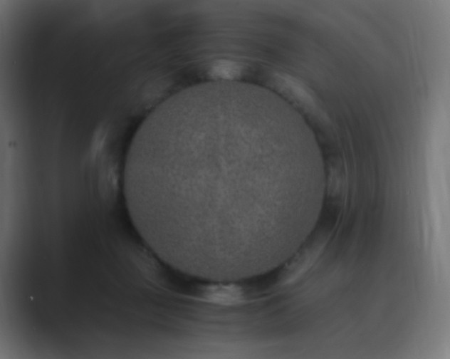 X0000089830363200706281216