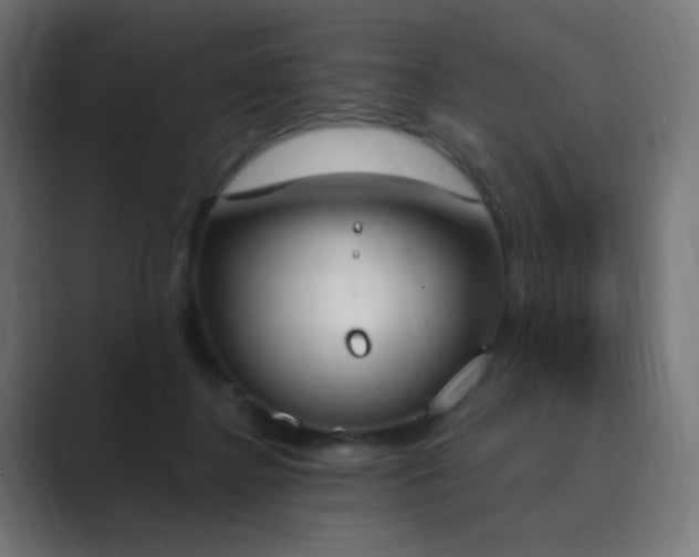 X0000089830364200706281216