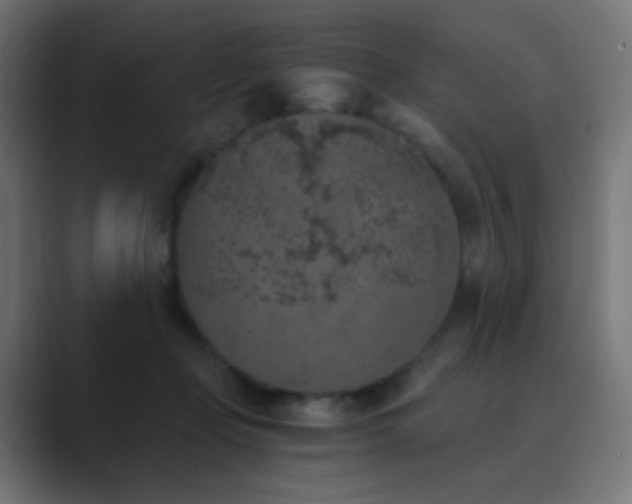 X0000089830365200706281216