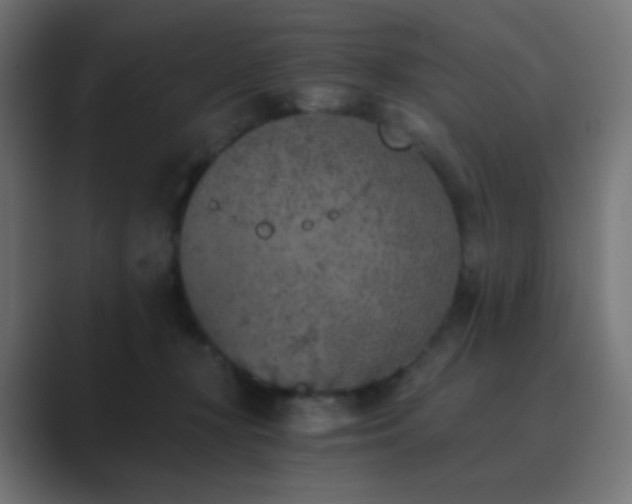 X0000089830367200706281216