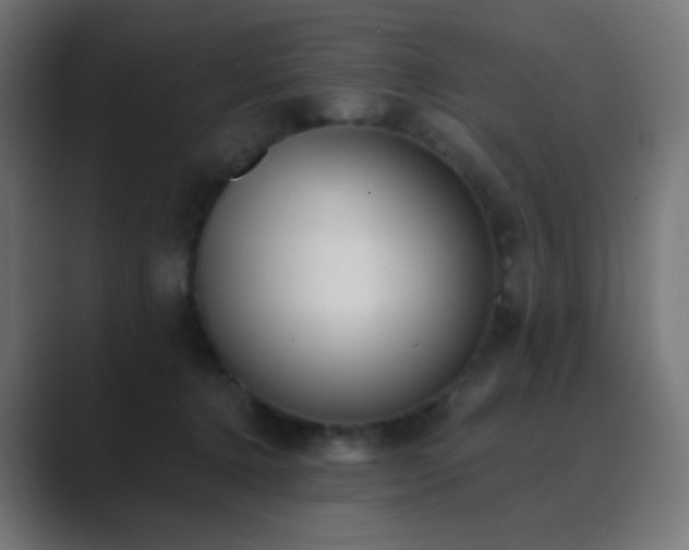 X0000089830368200706281216