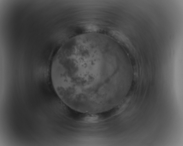 X0000089830369200706281216