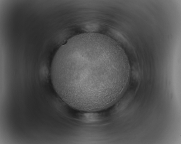 X0000089830371200706281216