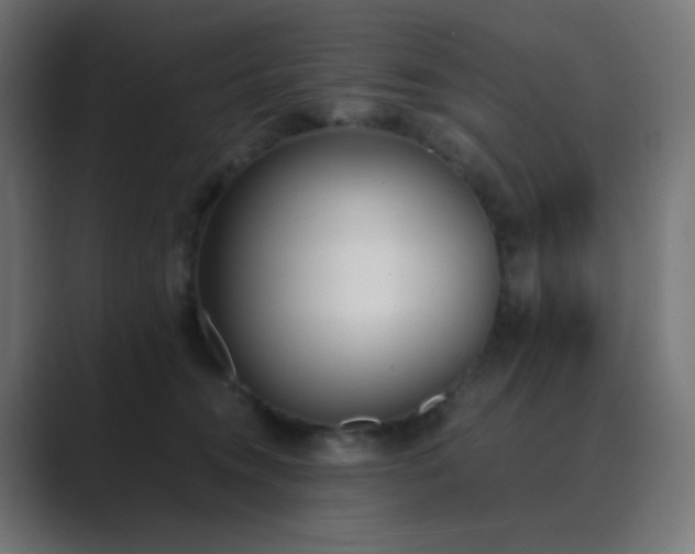 X0000089830372200706281216