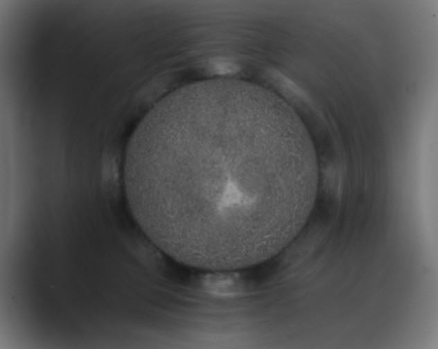 X0000089830373200706281216
