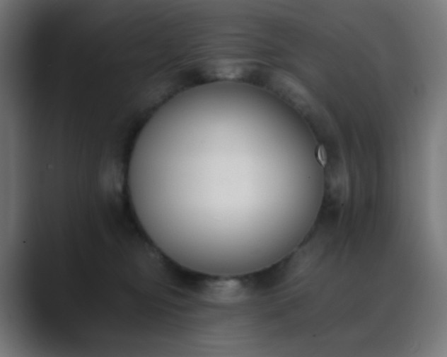 X0000089830374200706281216
