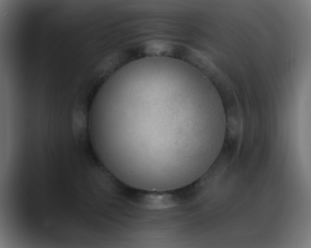 X0000089830375200706281216