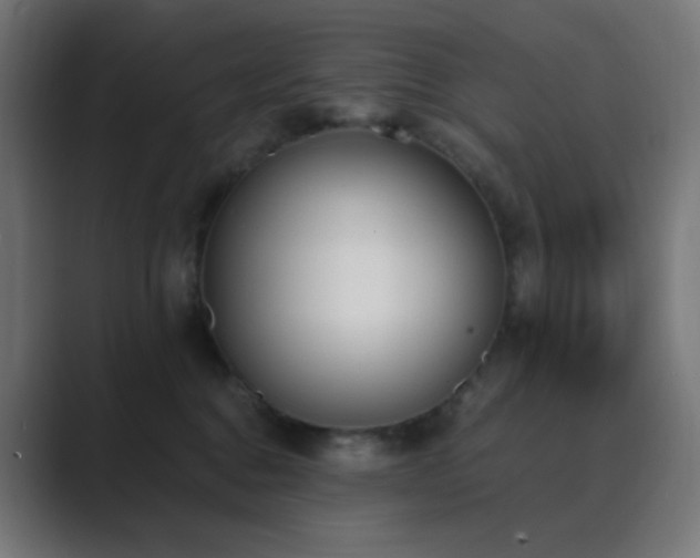 X0000089830376200706281216