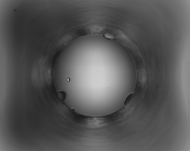 X0000089830378200706281216