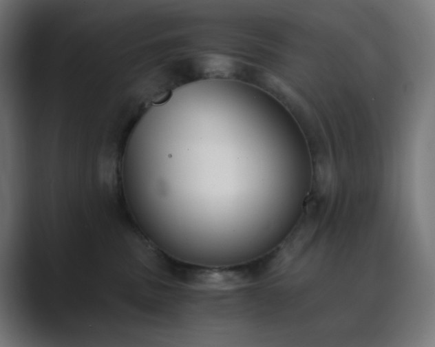 X0000089830379200706281216