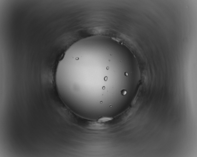 X0000089830380200706281216