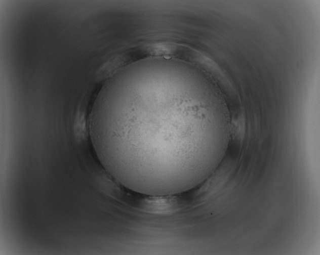 X0000089830381200706281216