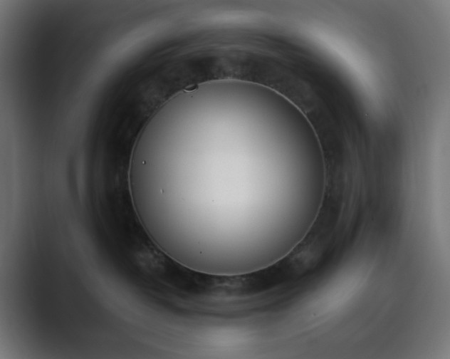 X0000089830382200706281216