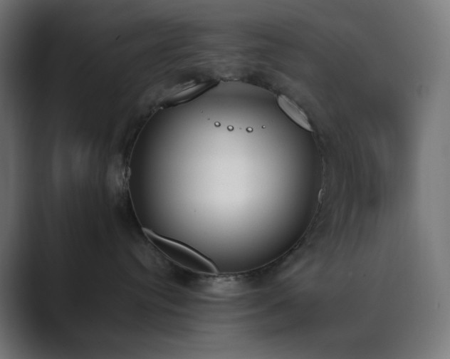X0000089830384200706281216