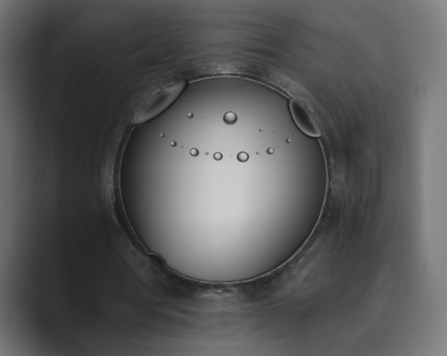 X0000089830386200706281216