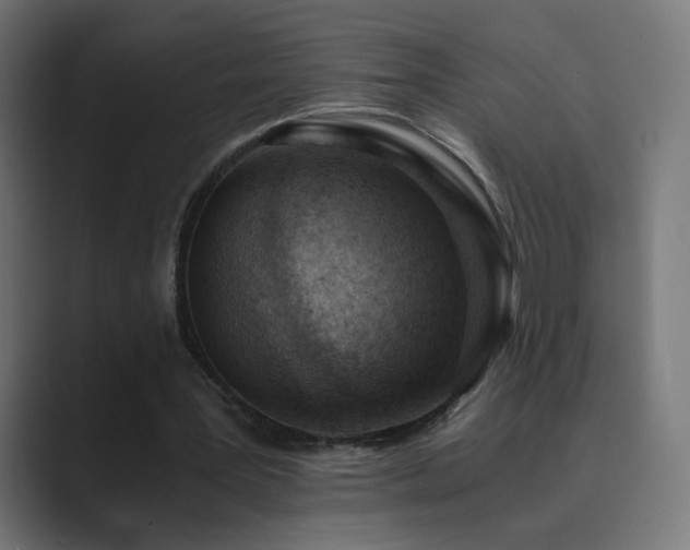 X0000089830387200706281215