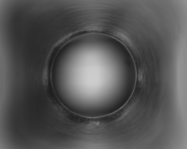 X0000089830388200706281215