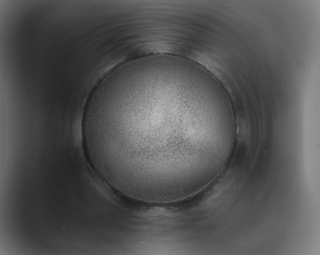 X0000089830390200706281215