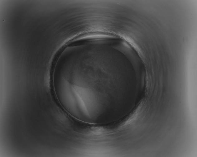X0000089830391200706281215