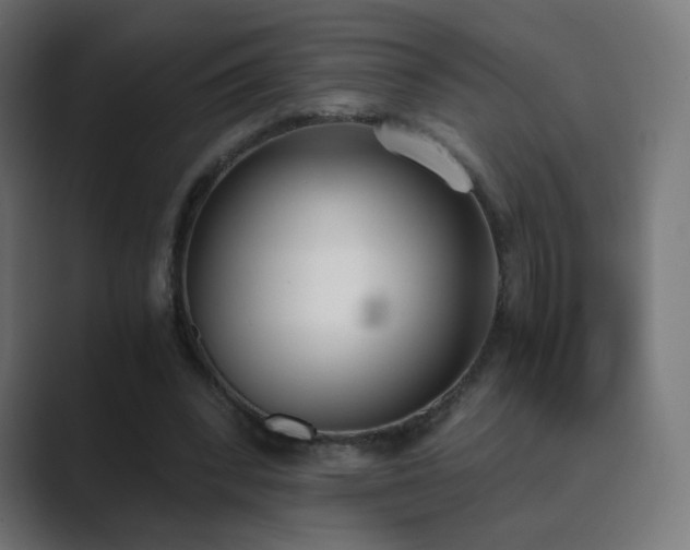 X0000089830392200706281215