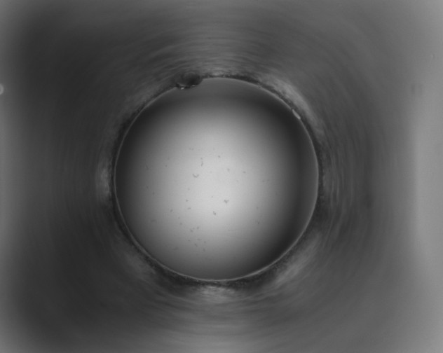 X0000089830393200706281215