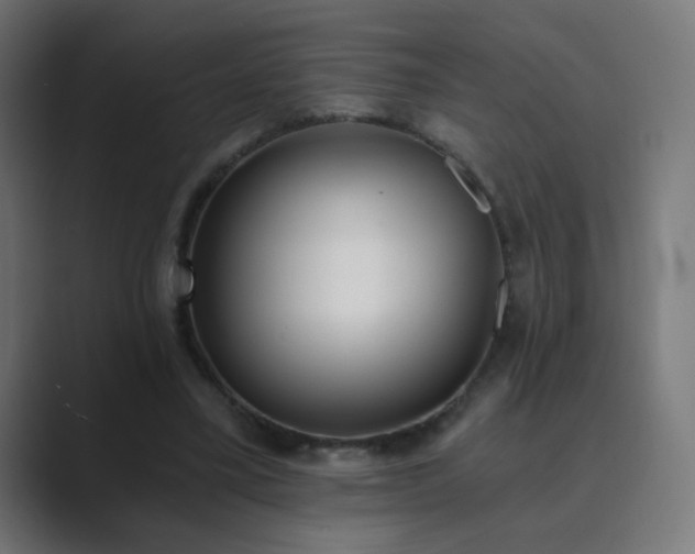 X0000089830395200706281215