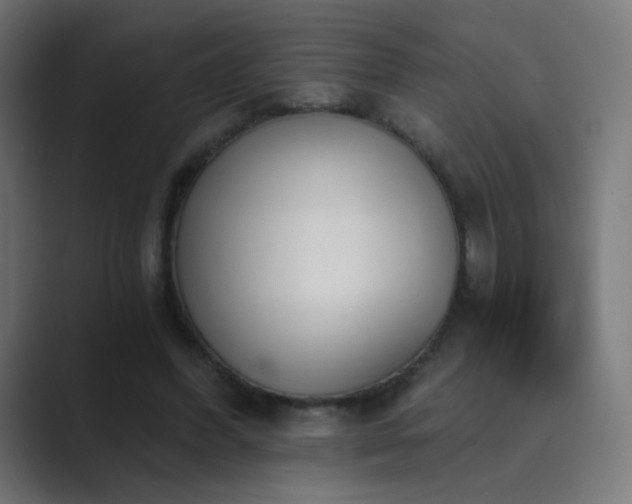 X0000089830396200706281215