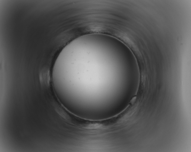 X0000089830397200706281215