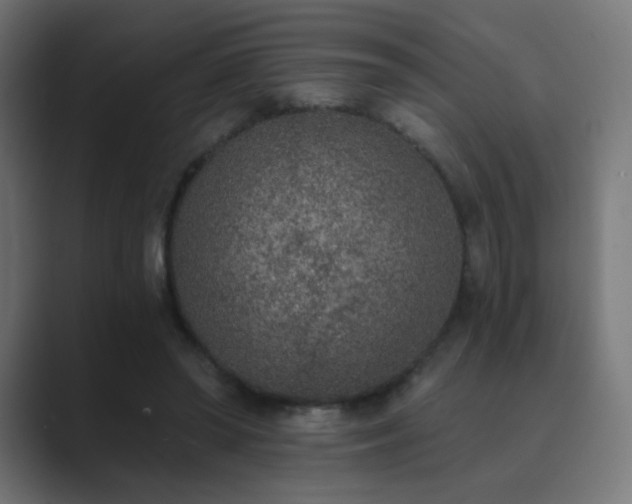 X0000089830398200706281215