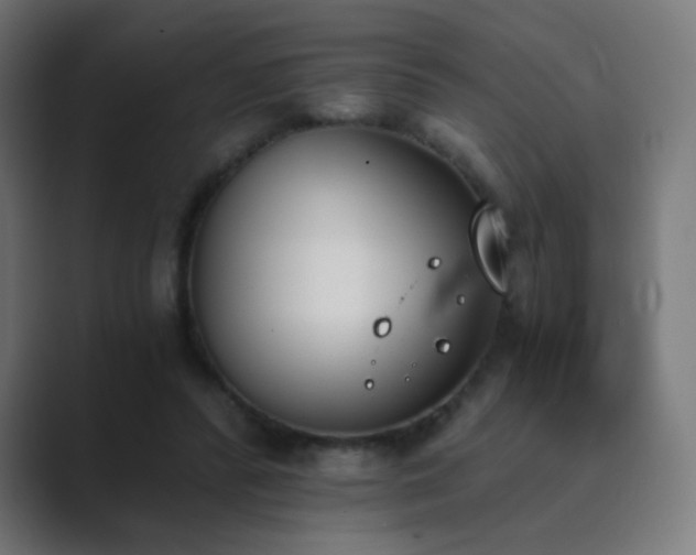 X0000089830400200706281215