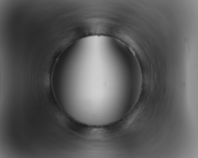 X0000089830401200706281215