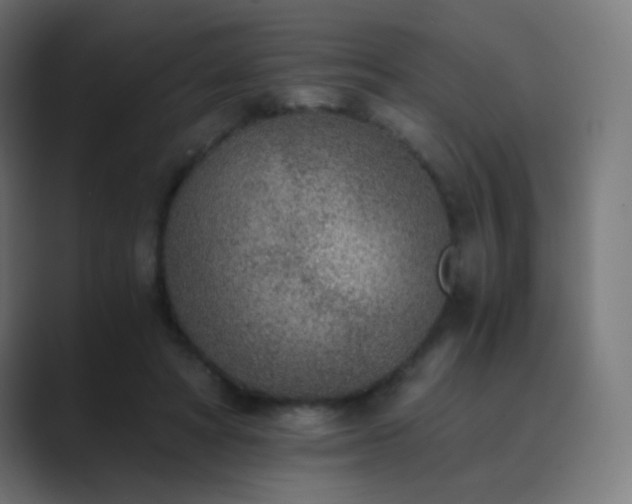 X0000089830402200706281215