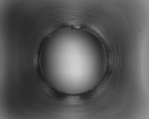 X0000089830403200706281215