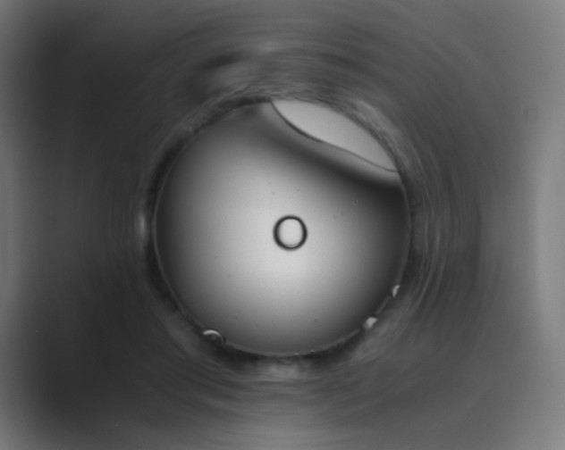 X0000089830405200706281215