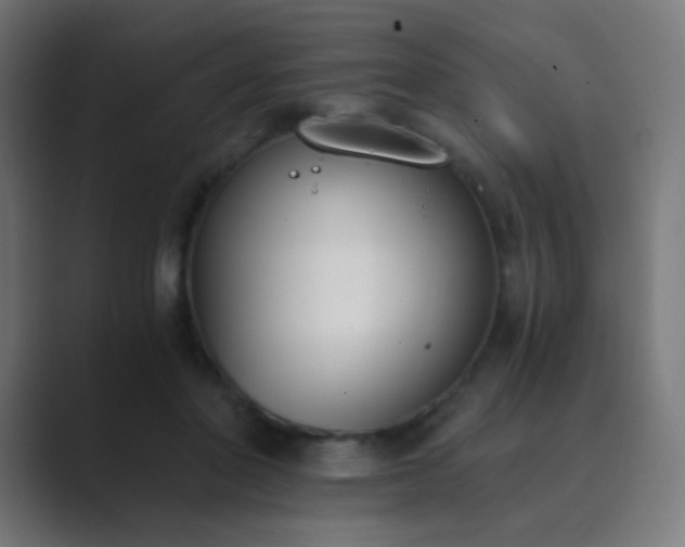 X0000089830406200706281215