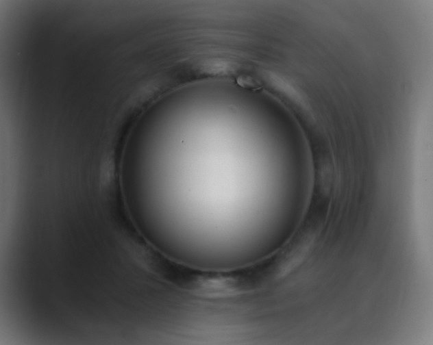 X0000089830407200706281215