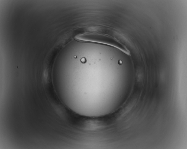 X0000089830408200706281215